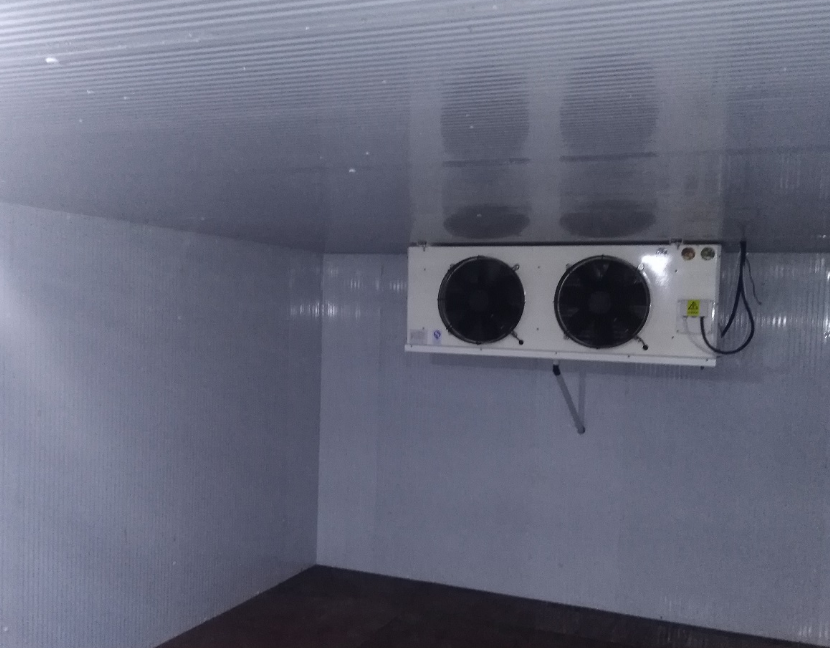 ��(j��)�����S��